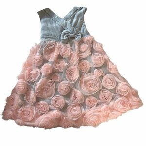 Absolutely adorable Joe Ella girls dress in size 3.